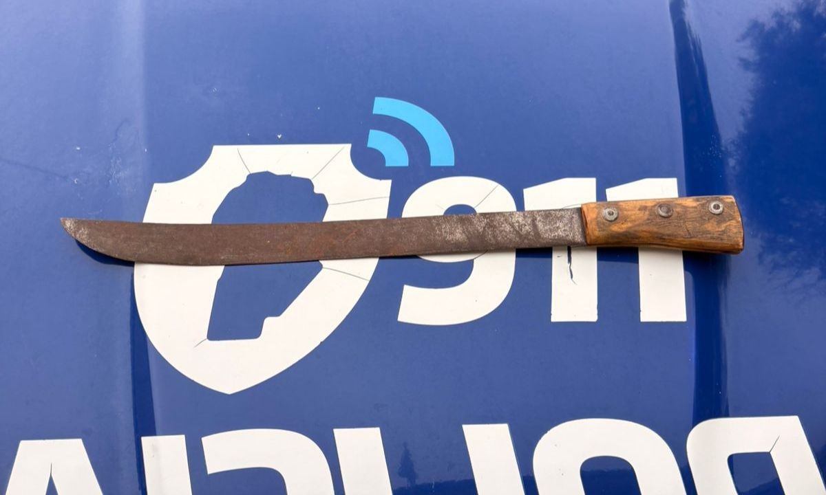 Un hombre fue detenido en San Francisco tras atacar a su vecino con un machete | Córdoba