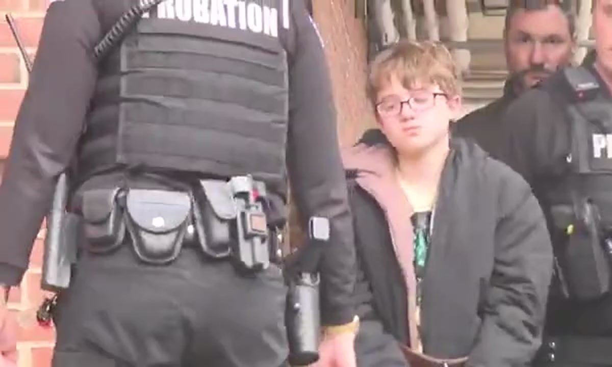 Un niño de 11 años mató a su padre tras una discusión por una consola de juegos | Internacionales