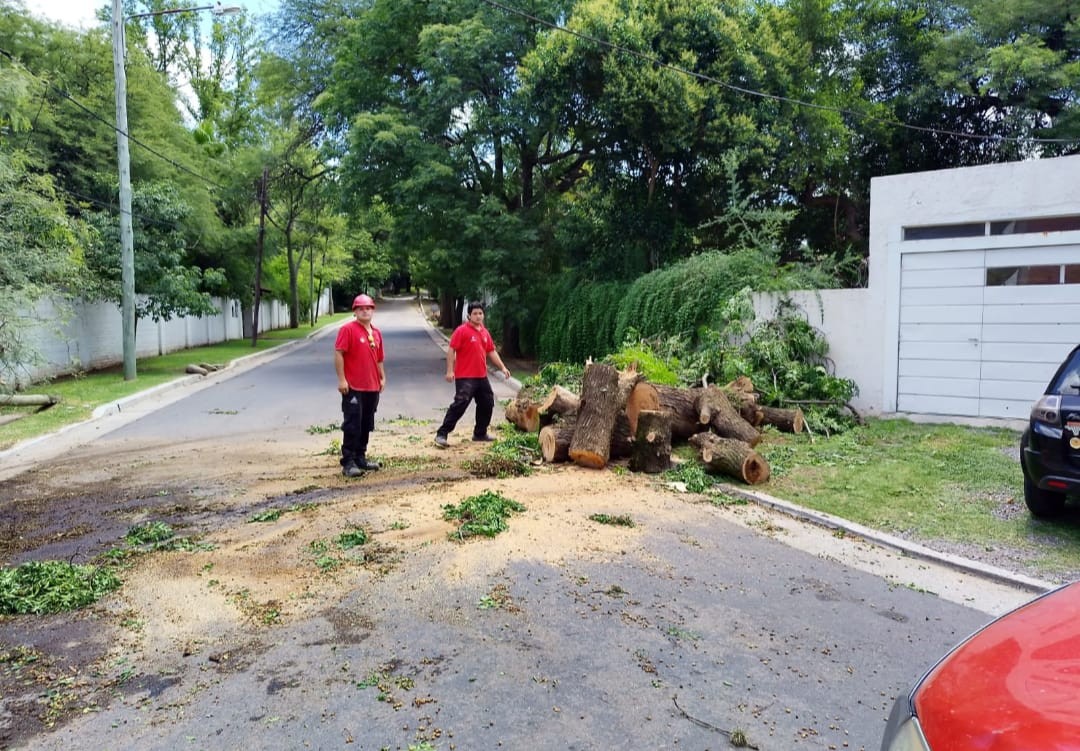 Defensa Civil recibió 950 llamados debido a las consecuencias de la tormenta y continúan trabajando | Córdoba