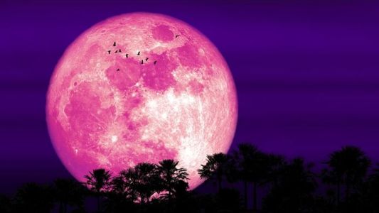 La Luna Rosa de abril: un espectáculo lunar que se podrá ver en todo el país