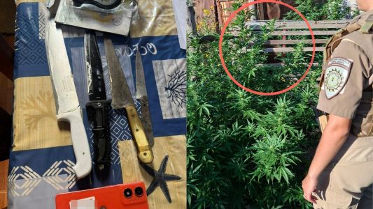 Cae un hombre por abigeato tras múltiples allanamientos en el sur cordobés