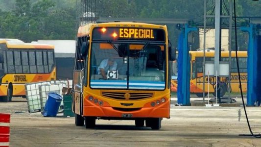 Transporte urbano en Córdoba: el municipio afirma que ya se cubre el 80% de los recorridos afectados