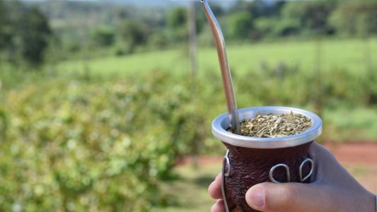 Se desploma el consumo de yerba mate y febrero marca su peor registro en cinco años