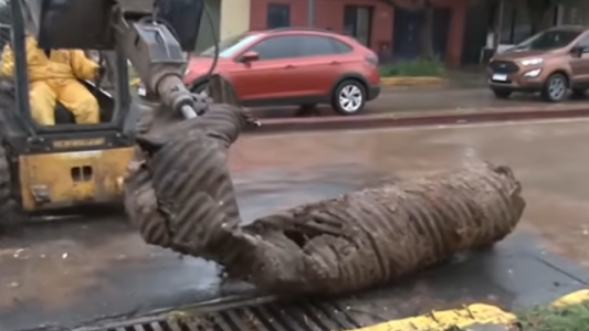 Las Flores: un socavón genera caos en el tránsito y pérdidas de ventas