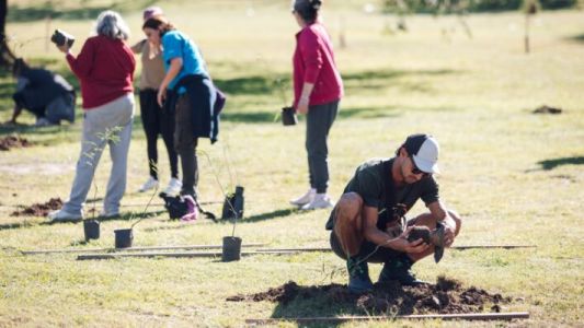 “Sembrando Memoria” avanza con fuerza: ya plantaron 5.700 árboles en solo dos meses
