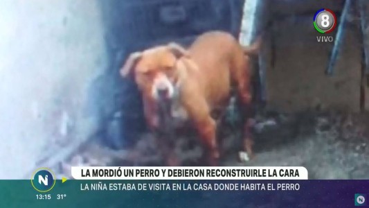 Una perra Pitbull atacó a una menor de un año y diez meses