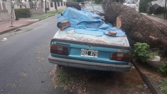 Temporal en Córdoba: Un árbol cayó por la lluvia y aplastó un auto