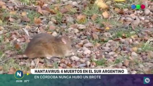 Ascienden a seis las víctimas fatales por Hantavirus en el sur del país