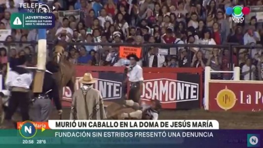 Polémica tras la muerte de un caballo en la doma