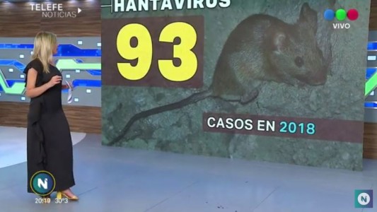 Hantavirus: Cuáles son los síntomas de la enfermedad