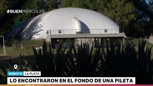 Nene se ahogó en la pileta de una colonia: inspección al predio no detectó "anomalías"