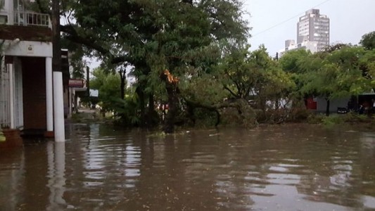 Fuerte temporal con vientos de hasta 120 kilómetros por hora causó destrozos en Resistencia