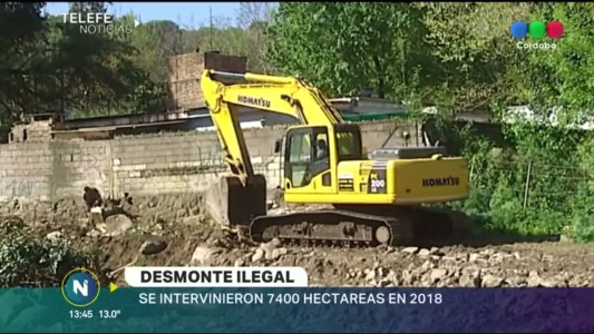 Desmonte ilegal: intervinieron 7400 hectáreas en 2018