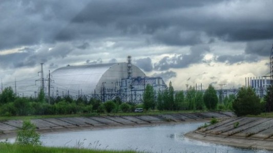 A 33 años del accidente de Chernóbil: qué fauna hay en la zona de la central nuclear