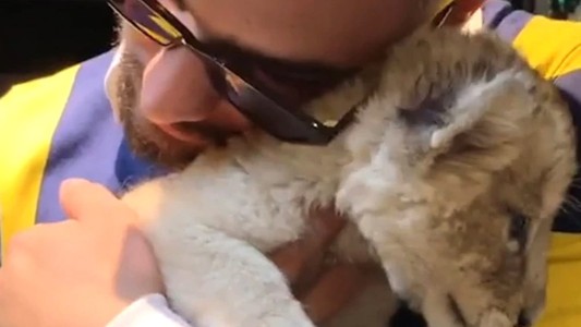 Maluma cerró su cuenta de Instagram por las críticas que recibió tras un posteo