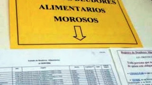 El Senado aprobó el proyecto de registro de deudores alimentarios