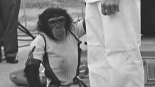 La historia del mono Juan, el primer astronauta argentino