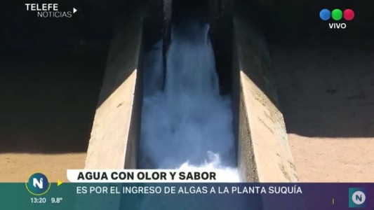 Mal olor y sabor en el agua: el descargo de Aguas Cordobesas