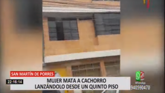 Indignante: tiró a un perro de un quinto piso, lo mató y aseguró que "no quiso hacerlo"