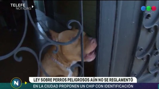 Exigen una ley que penalice los ataques de perros