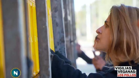 Vigilia vegana: así despiden a los animales que van al matadero