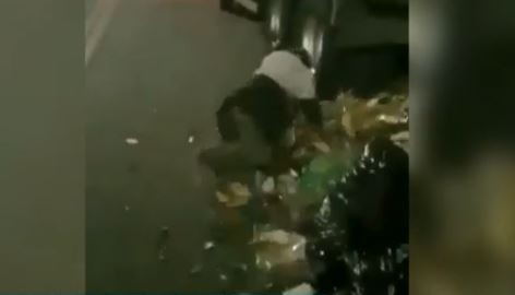 Desgarrador video: un hombre dormía en la basura y se lo llevó el camión recolector