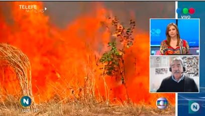 Arde el Amazonas, el "pulmón verde" del mundo en riesgo