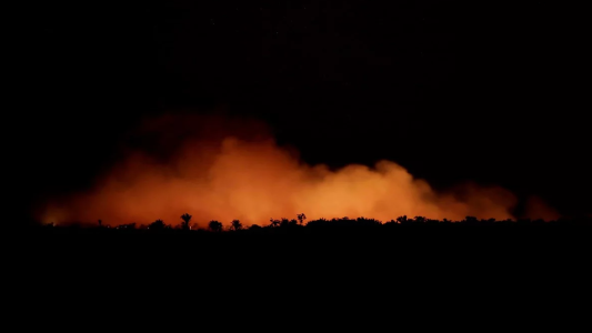 Advierten que el humo de los incendios del Amazonas podría llegar a Buenos Aires