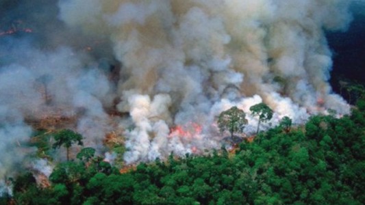 Llega el humo de los incendios en el Amazonas a Argentina: ¿Qué precauciones hay que tener?