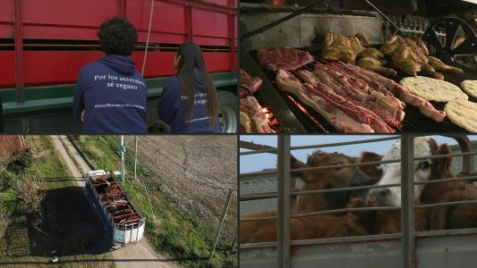 En el país de las vacas, los veganos confían en lograr un cambio de hábito