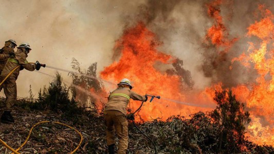 Bomberos cordobeses, calientes porque no viajan a la Amazonia