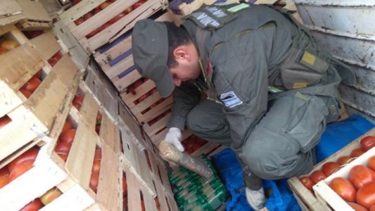 400 kilos de cocaína entre tomates y berenjenas