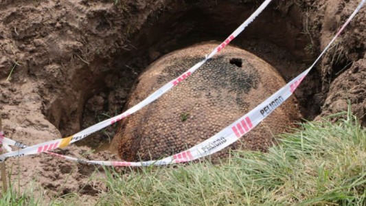 Fueron a un arroyo en Ezeiza y pescaron un gliptodonte de 10 mil años