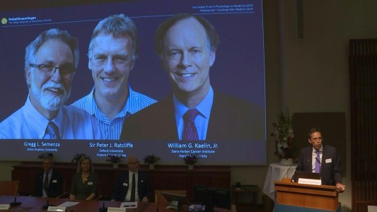 Nobel de Medicina para los descubridores de una clave de la respiración de las células