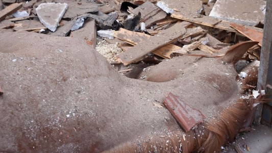 Se cayó una antena del Hipódromo de La Plata y mató a un caballo de carrera