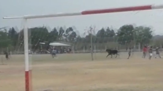 Video: el momento en que un toro se metió en una cancha y embistió a un espectador