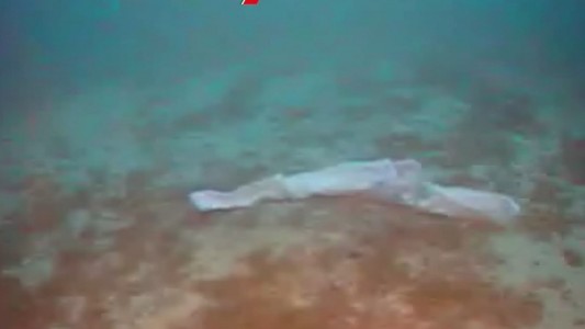 Buzo halló a una mujer y su bebé muertos en un naufragio: "Lo tuvo abrazado hasta el final"