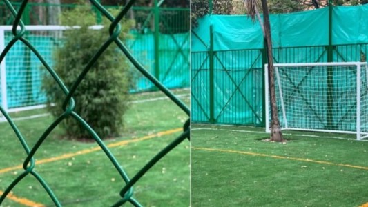 La insólita cancha de fútbol que tiene un árbol en medio de cada arco