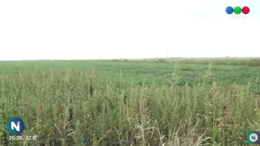 Presupuesto 2020: preocupación en el campo por el aumento del inmobiliario rural