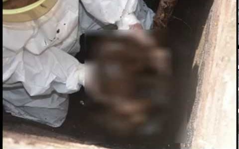 Conmoción en Tartagal: la mató y la tiró en una letrina