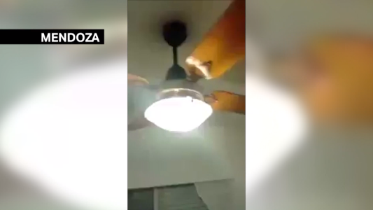 VIDEO: así tembló el país por el sismo en Mendoza