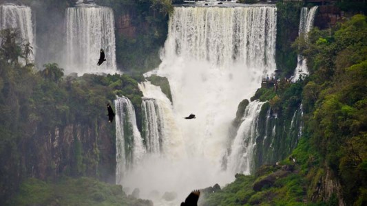 Bolsonaro quiere privatizar tres parques nacionales