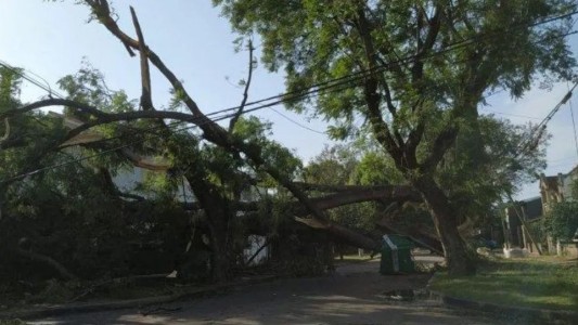 Murió aplastada por un árbol en medio de fuerte temporal en Santa Fe