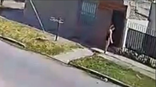 VIDEO: ladrona insensible: se robó la mascota del patio de una casa