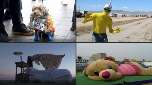 VIDEO: las imágenes más curiosas de 2019