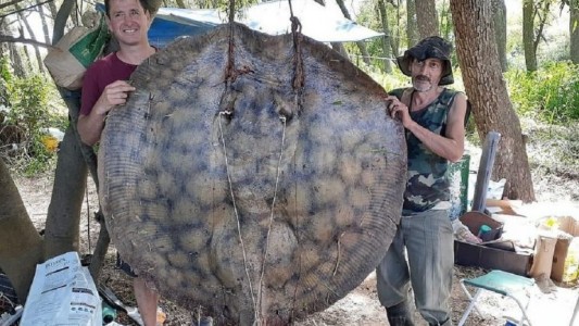 Los pescadores que capturaron una raya de 153 kilos del río Paraná