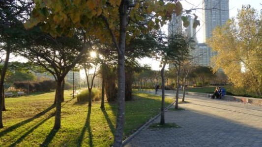 Puerto Madero: detenido por golpear y arrojarle un balde de combustible a su ex pareja