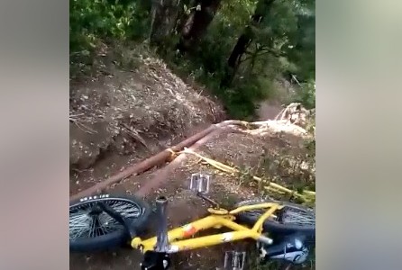 Escalofriante: salieron a andar en bici y se encontraron con "La Llorona"