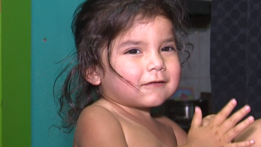 Bahía Blanca: dieron de alta a una niña que fue picada por una araña de rincón