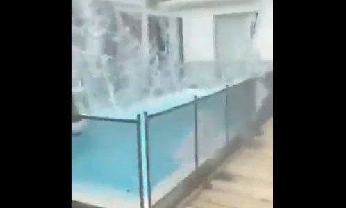 Video: un cordero cayó desde un helicóptero en la pileta de Lara Bernasconi en Punta del Este